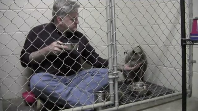 GraniteAnimalCare