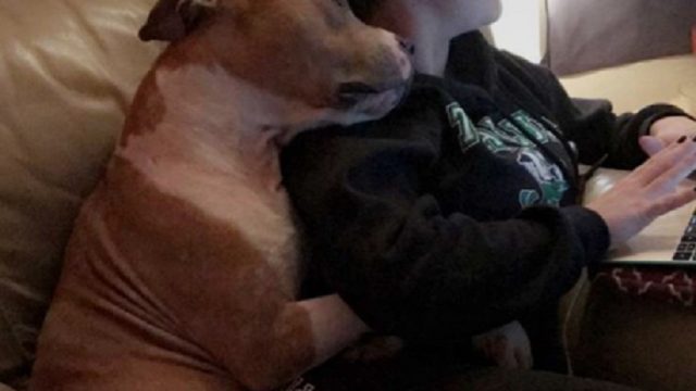 rescue dog hugging new owner