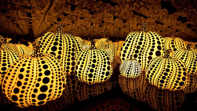 all th eternal love i have for the pumpkin