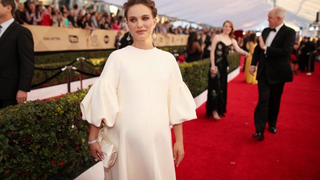 The 23rd Annual Screen Actors Guild Awards - Red Carpet