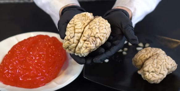 silicon-cow-brain2.jpg