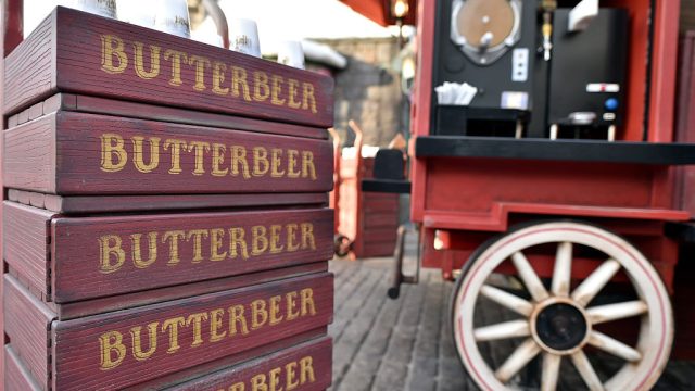 Universal Studios' "Wizarding World of Harry Potter Opening" - Roaming Inside