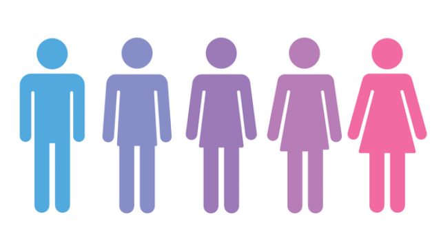 gender spectrum