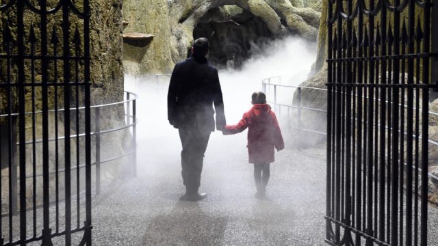 First Look At The Forbidden Forest At Warner Bros. Studio Tour London