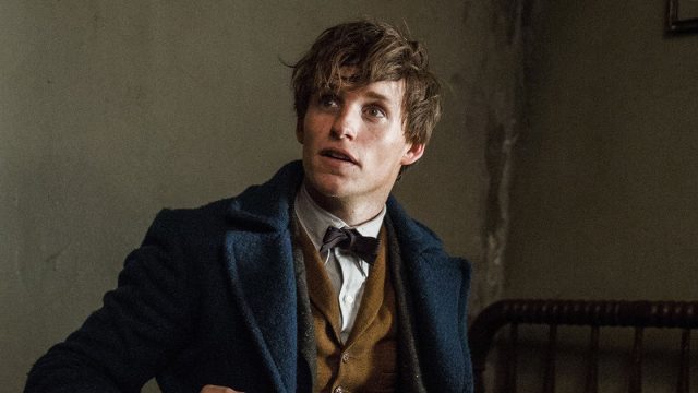 Eddie Redmayne