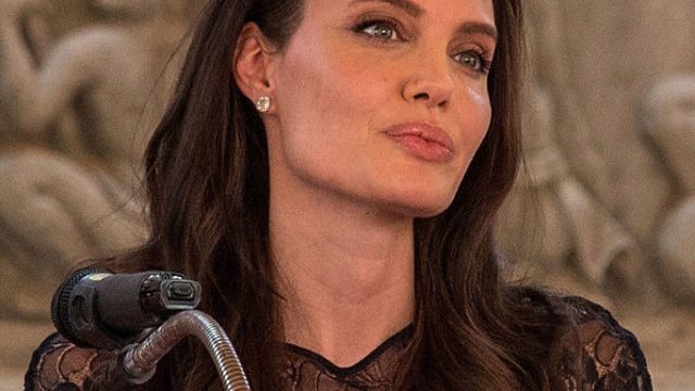 Angelina Jolie Handbag