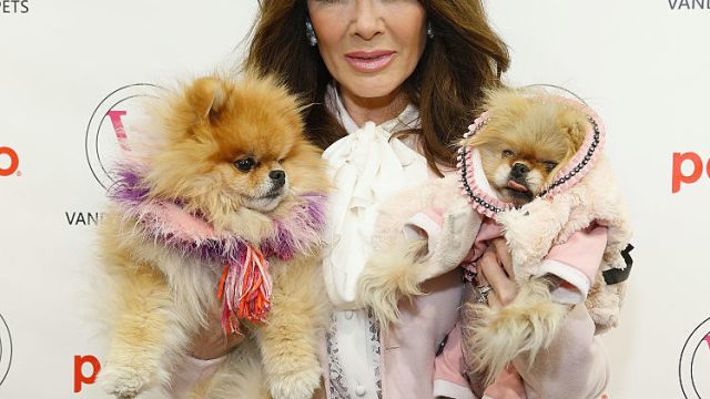 Lisa Vanderpump Pets dog adoption