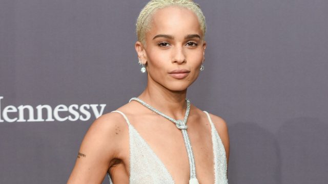 19th Annual amfAR New York Gala - Arrivals