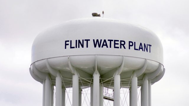 Flint Water Plant Tank