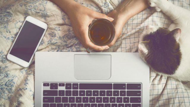 Relaxing behind a laptop computer