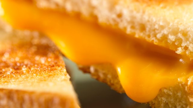 Toasted cheese sandwich