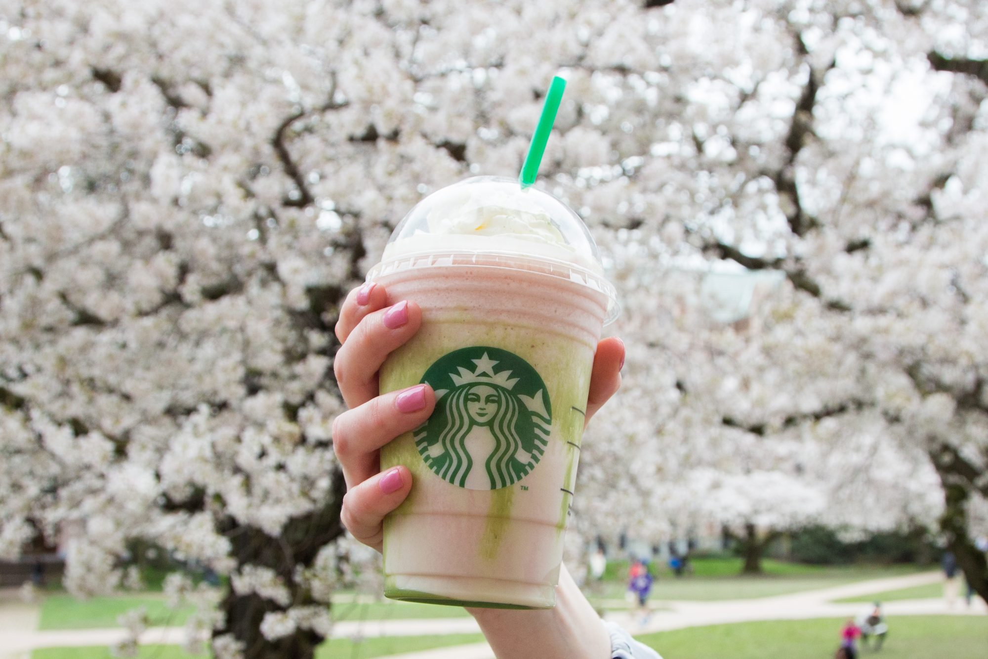 Starbucks-CherryBlossomFrappuccino.jpg