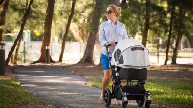 stroller