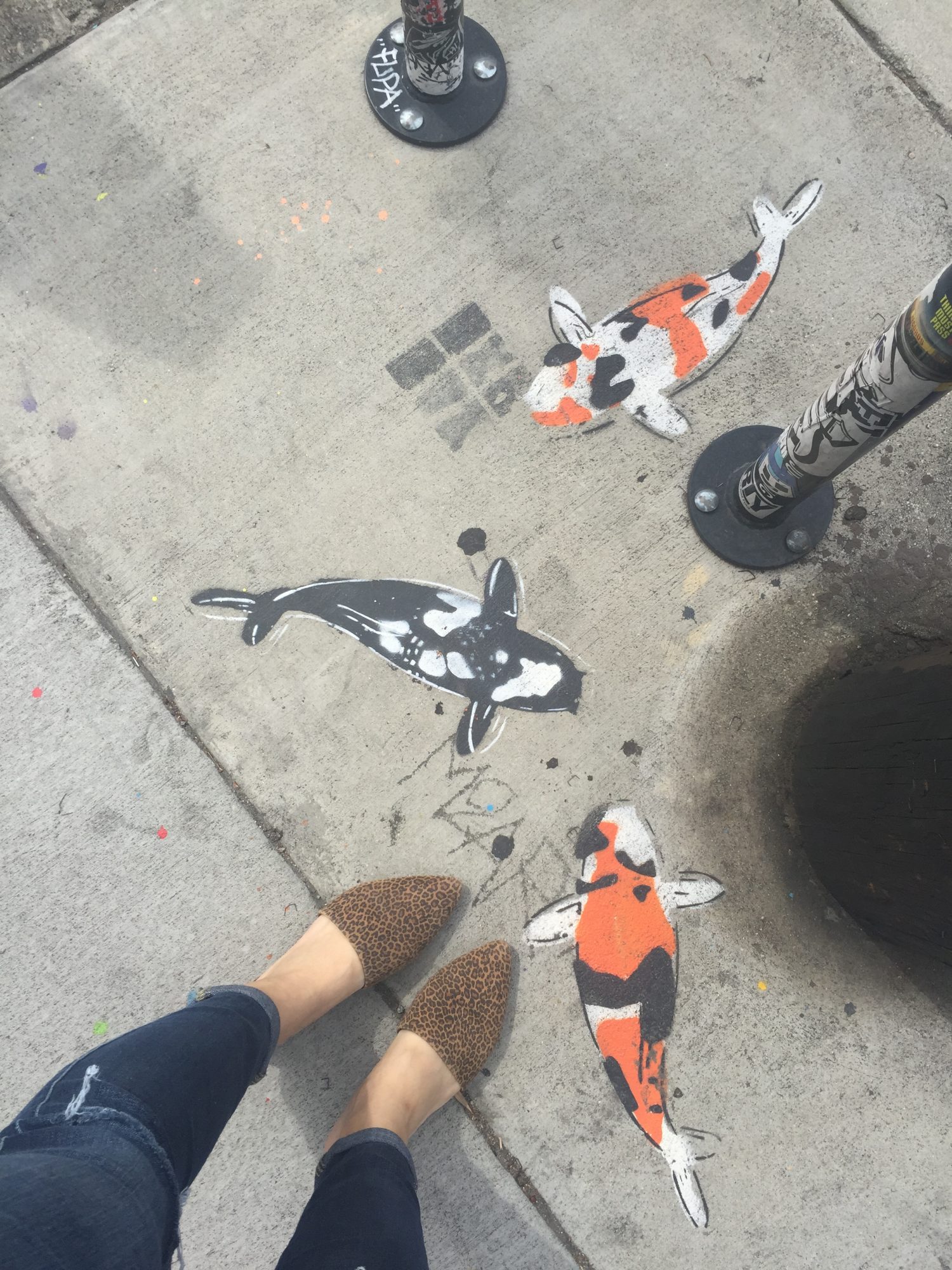 feet.jpg