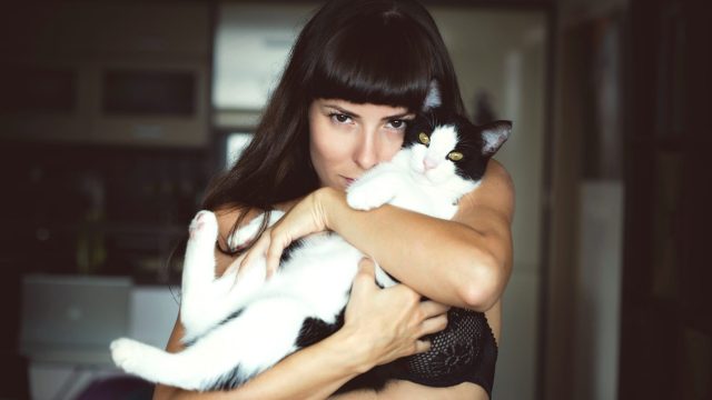cat2