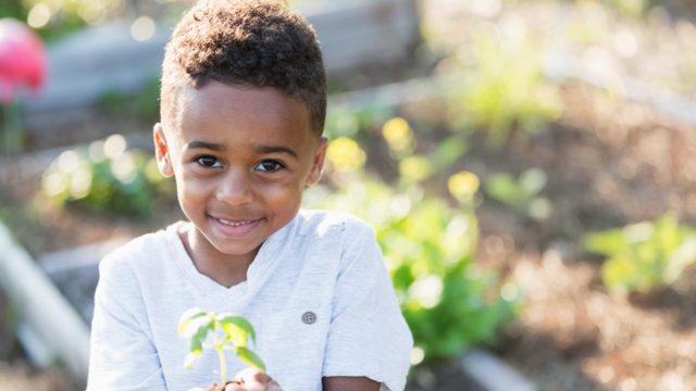 little boy garden