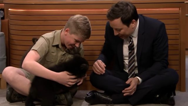 BobIrwinFallonBears1