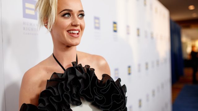 The Human Rights Campaign 2017 Los Angeles Gala Dinner - Red Carpet