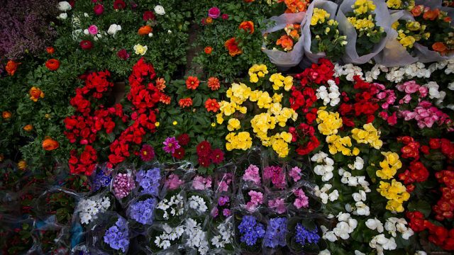 Operations In The Flower District During the First Week Of Spring
