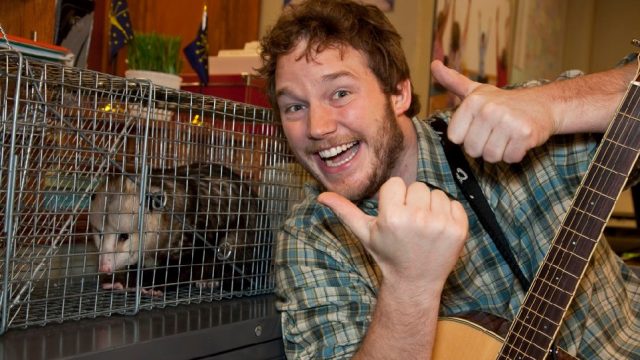 andy-dwyer