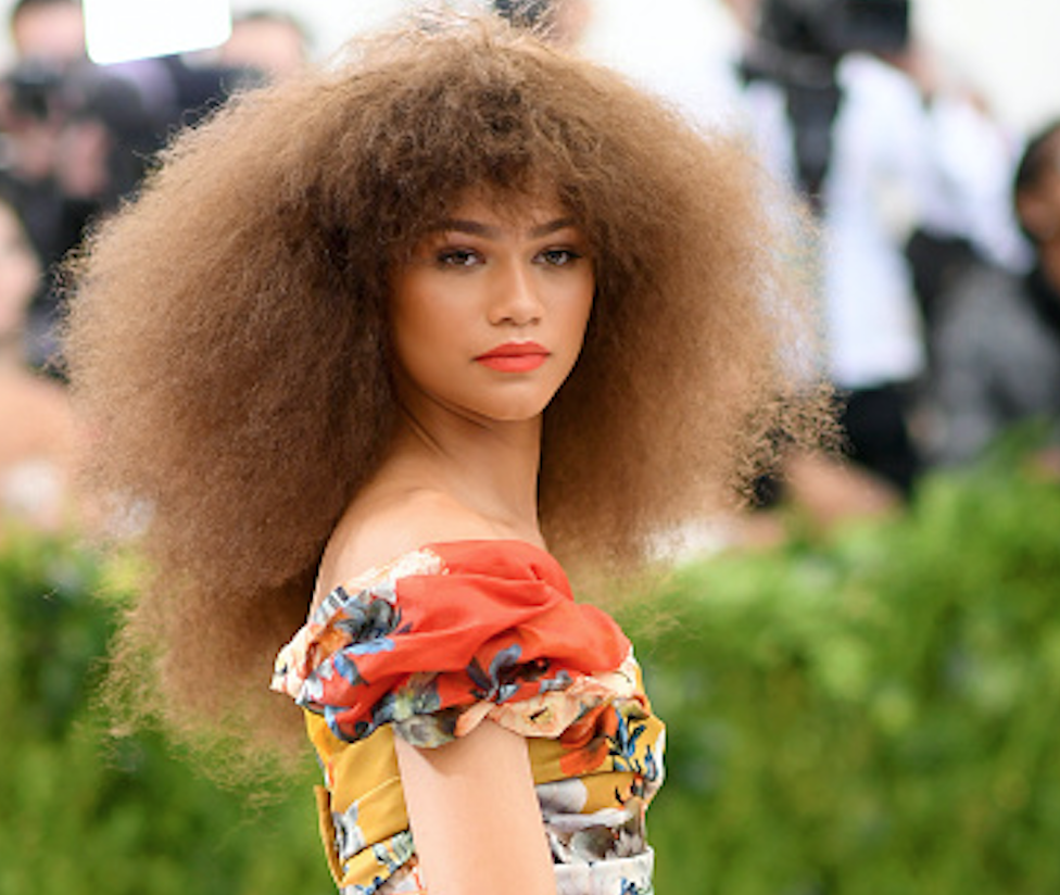 Zendaya's Met Gala parrot dress is nothing we expected — and we're in love  - HelloGigglesHelloGiggles