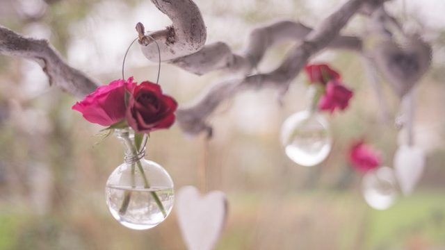 diy mother's day gifts