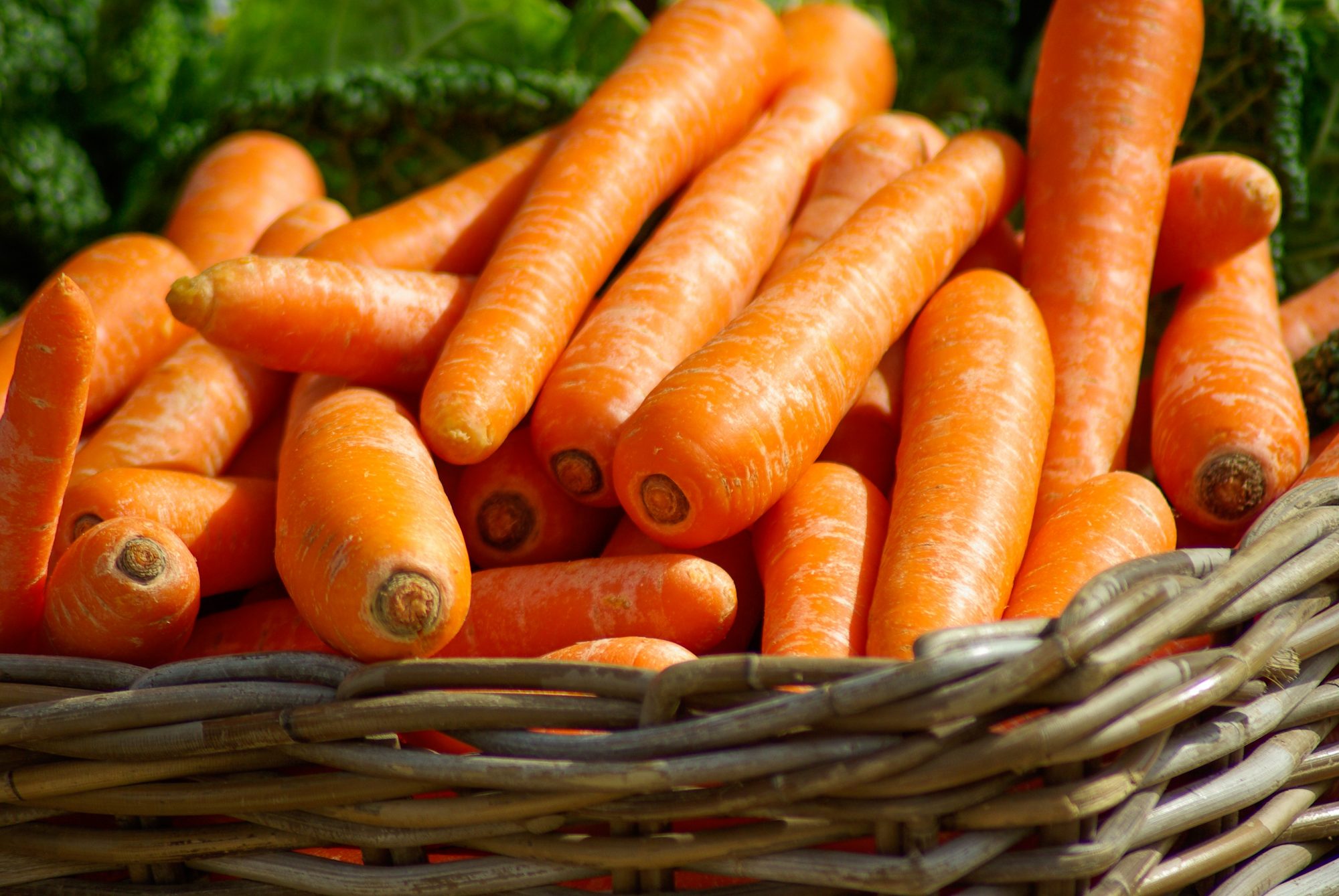 carrots-basket-vegetables-market-37641.jpeg