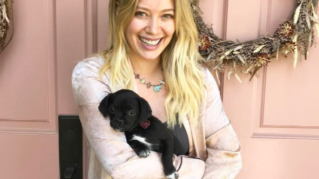 Hilary duff dog adoption love leo rescue
