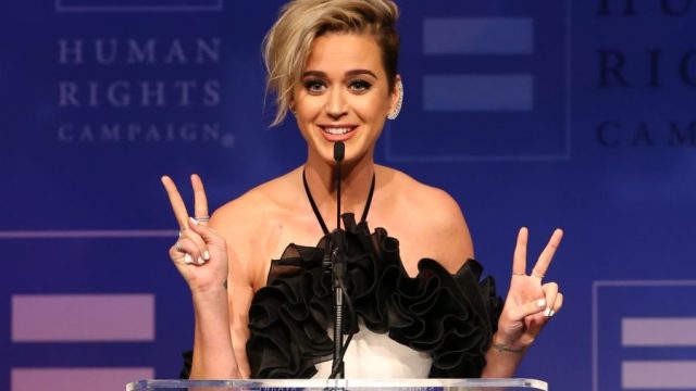 Human Rights Campaign's 2017 Los Angeles Gala Dinner - Show