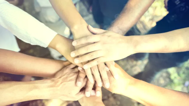 hands