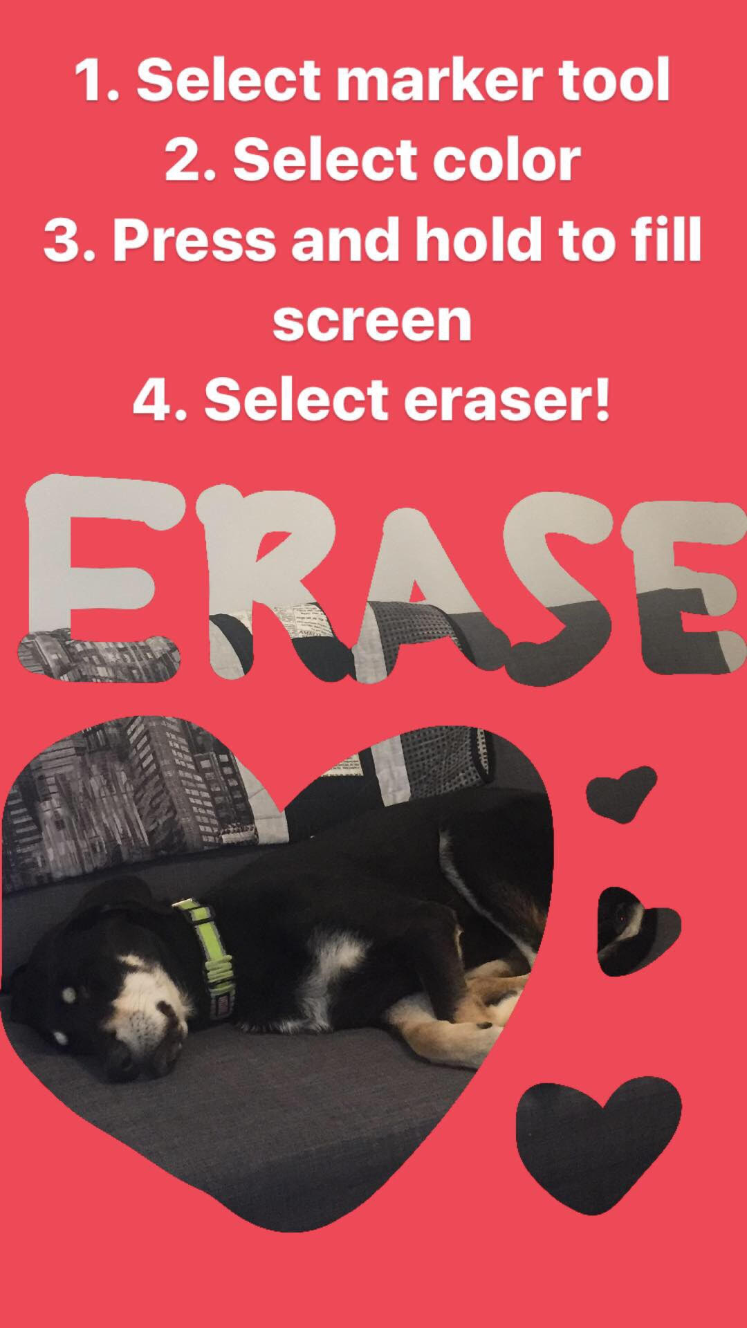 Erase.jpg