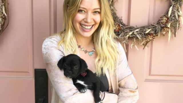 Hilary Duff and new puppy Momo.