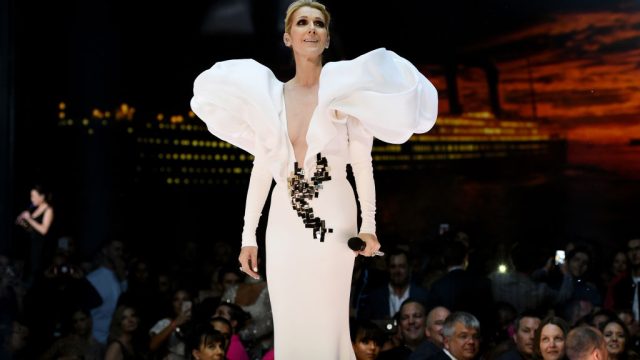 Celine Dion performed "My Heart Will Go On" at the 2017 Billboard Music Awards.