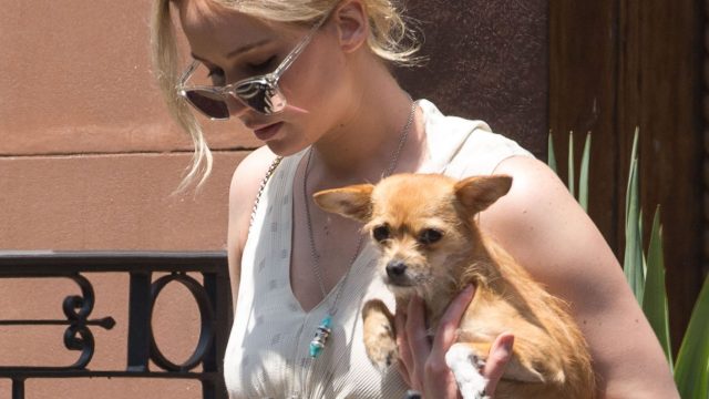 Image of Jennifer Lawrence and dog