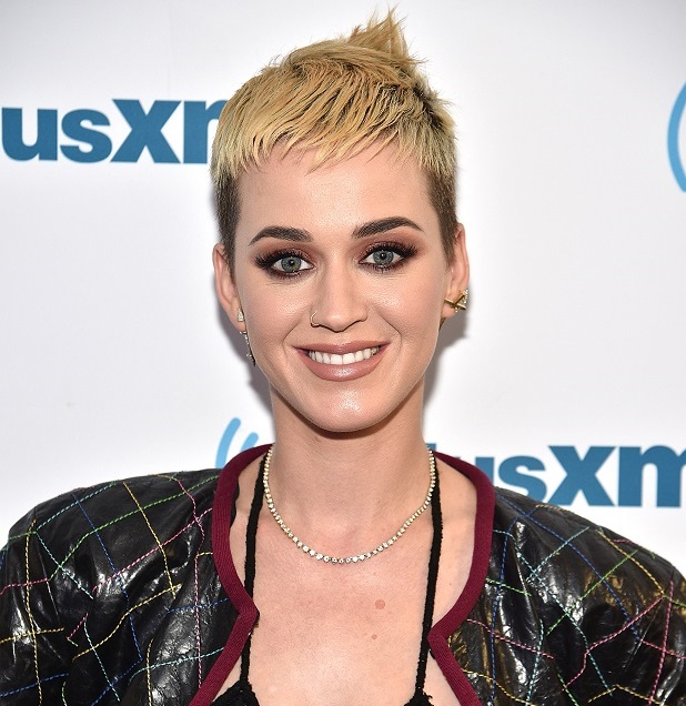 Katy Perry is "proud" of her "American Idol" salary, and damn right