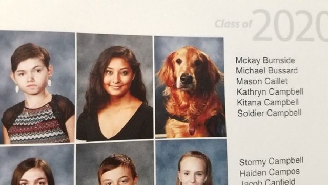 dog gets yearbook photo