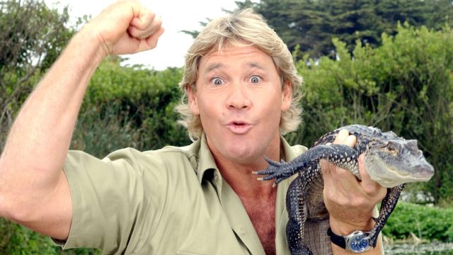 steve-irwin-pokemon