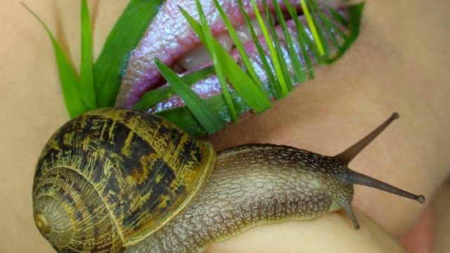 A close-up of a makeup look involving grassy lips and a live slug.