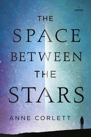picture-of-the-space-between-the-stars-book-photo.jpg