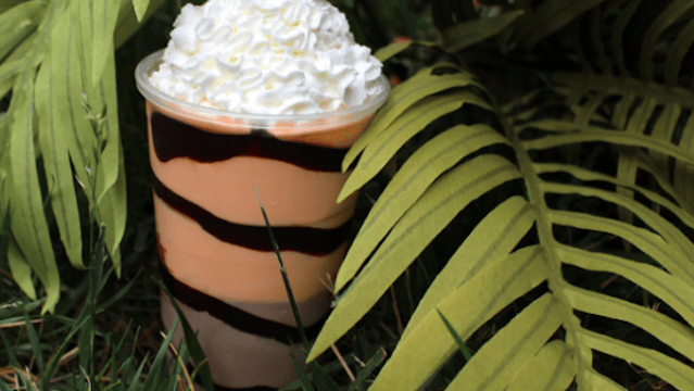 Picture of orange and chocolate Liger Shake from Arby's