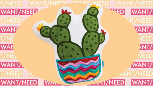 cactus pillow