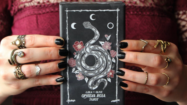 leila and olive tarot deck