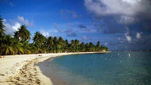 GUADELOUPE - APRIL 23: Palm trees along Caravelle beach at Sainte-Anne, Grande-Terre island, Guadeloupe, Overseas department of the French Republic. (Photo by DeAgostini/Getty Images)