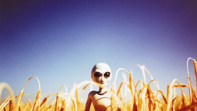 UFO alien in field