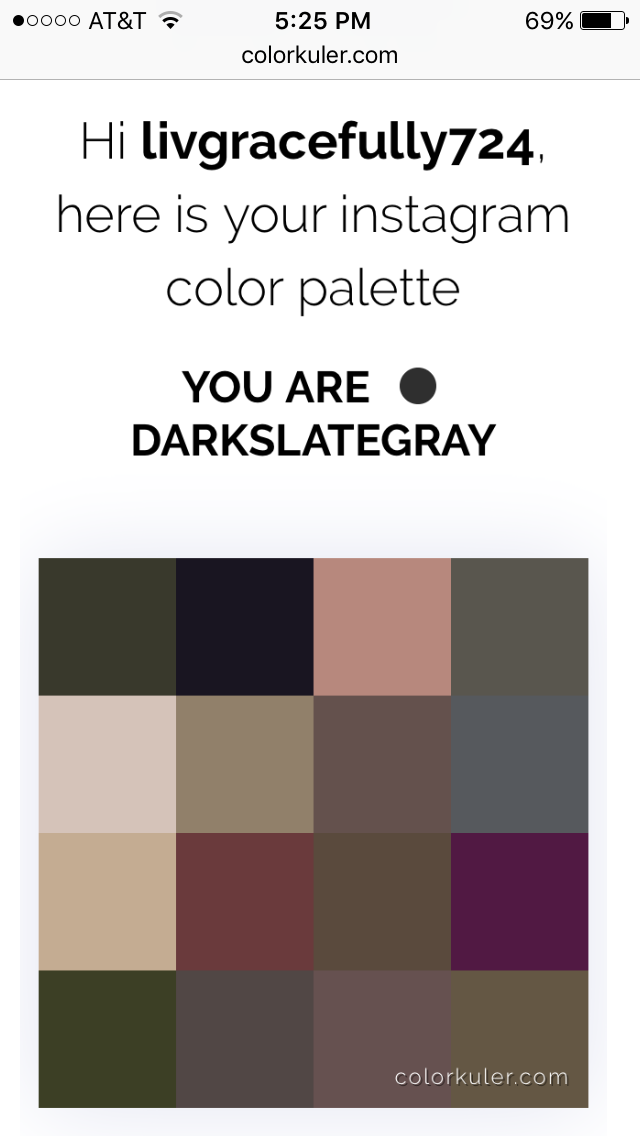 instagramcolorpalette1.png