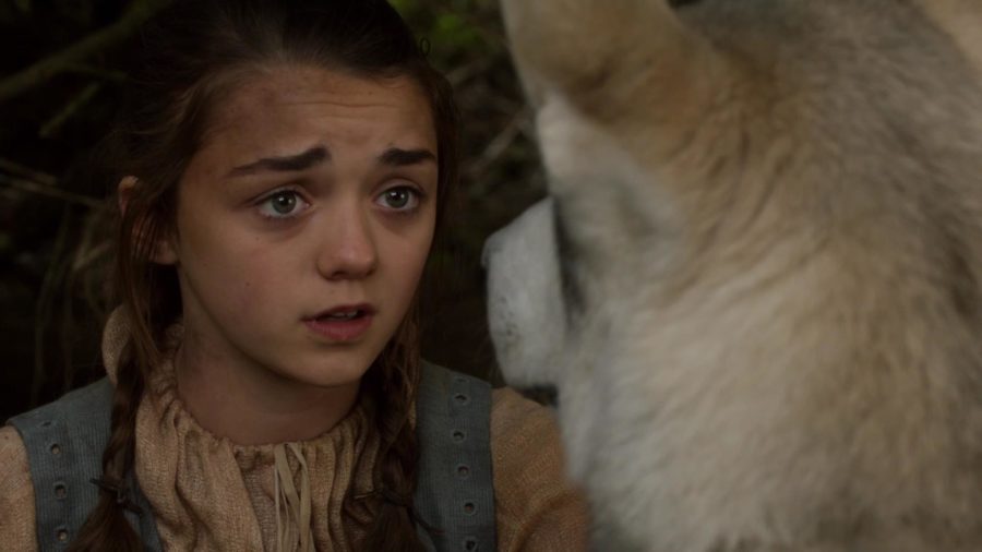 Arya's Wolf Nymeria Made A Bittersweet Appearance On "Game Of Thrones ...