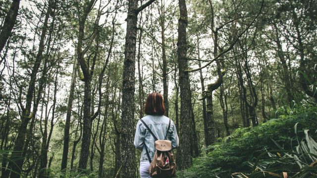 woman-alone-in-woods