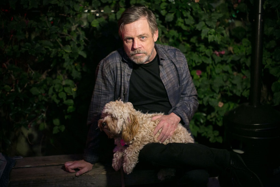 Mark Hamill reclaims his good name on Twitter