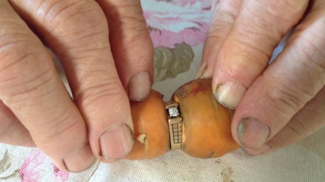 engagement-ring-on-a-carrot