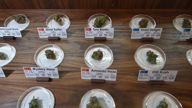 Samples on display at Farma, a marijuana dispensary in Portland, Oregon, on October 4, 2015. As of October 1, 2015 a limited amount of recreational marijuana became legal for all adults over the age of 21 to purchase in the state of Oregon. AFP PHOTO/JOSH EDELSON (Photo credit should read Josh Edelson/AFP/Getty Images)